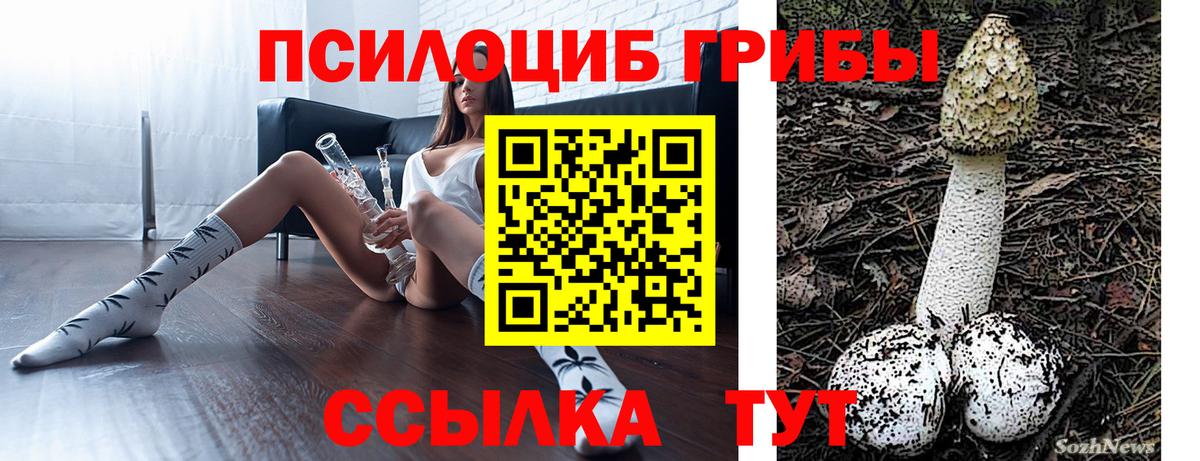 Псилоцибиновые грибы Psilocybe  Вход с VPN  Гусь-Хрустальный 