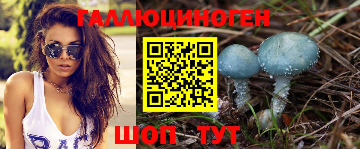 ГАШ Гусь-Хрустальный